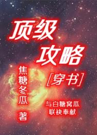 顶级攻略百度云