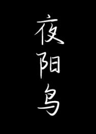 夜阳鸟by余珊珊网盘