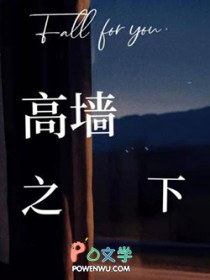 高墙之下小说by葵秋秋免费阅读