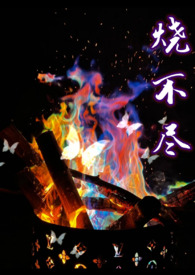 烧不尽小说阅读